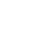 Managed Portfolio