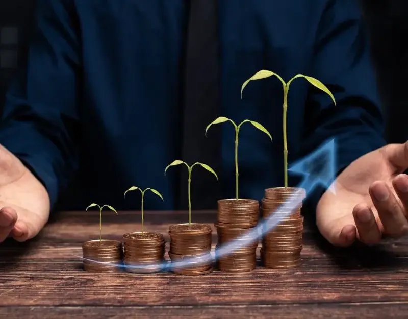 Financial Growth Starts with the Right Guidance
