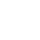 Investor Education & Market Guidance