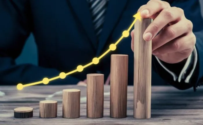 Structured Planning for Long-Term Financial Stability and Growth
