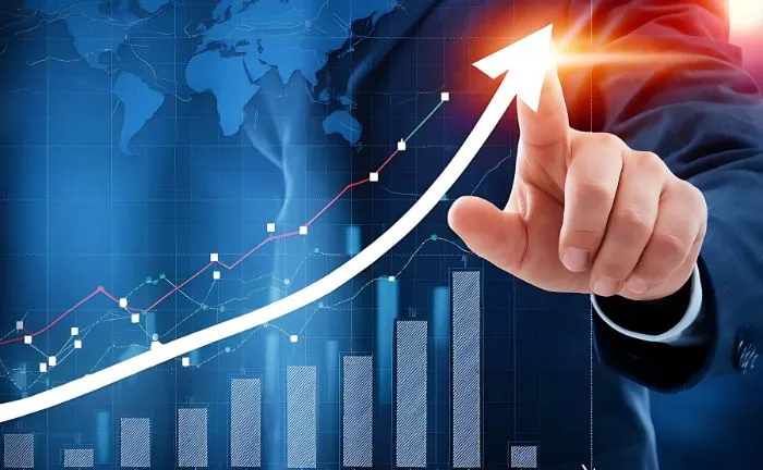 What is the Primary Market?