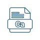 Chartered Accountants (CA)
