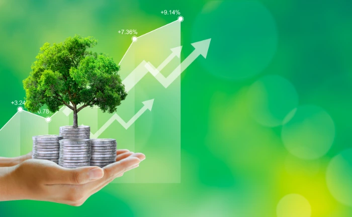 Grow with 369 Prosperity Craft LLP