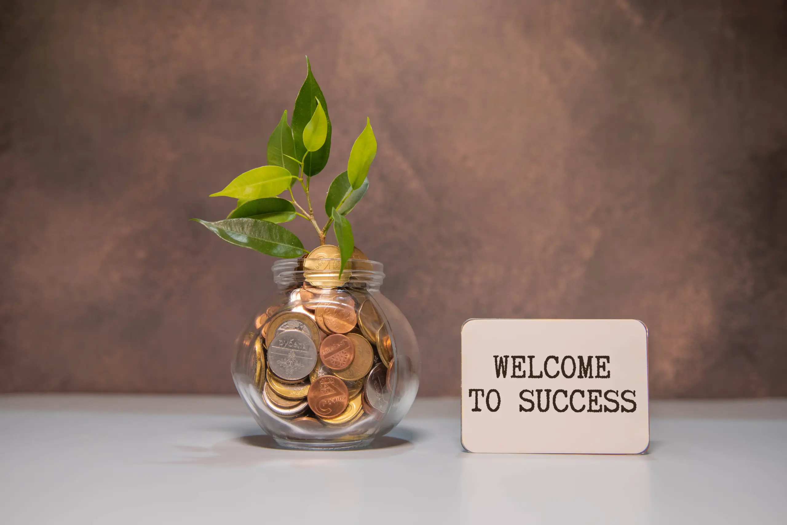 Marketing & Strategy Consulting